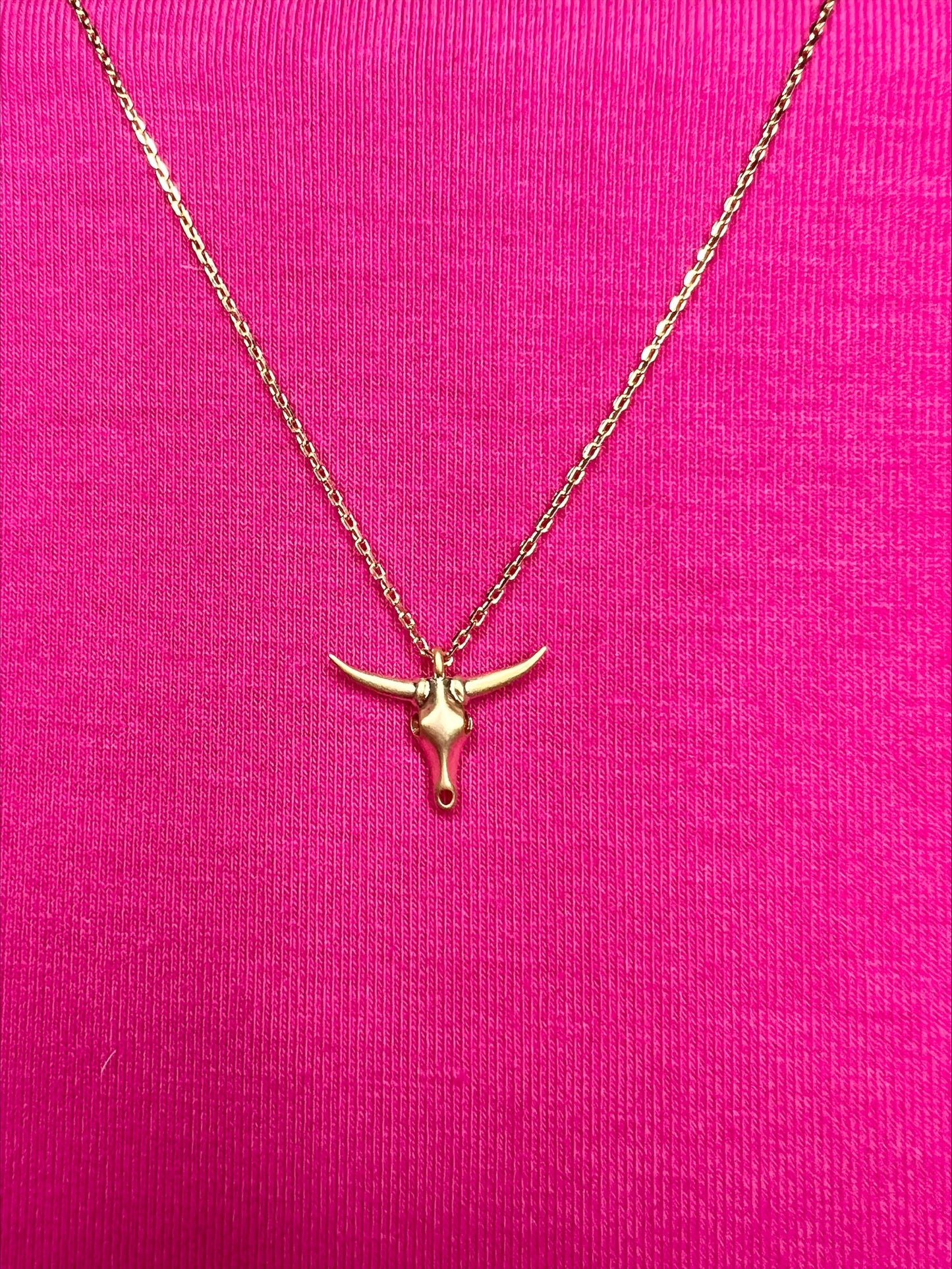 LONG HORN CHARM NECKLACE